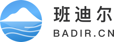 班迪尔软件开发